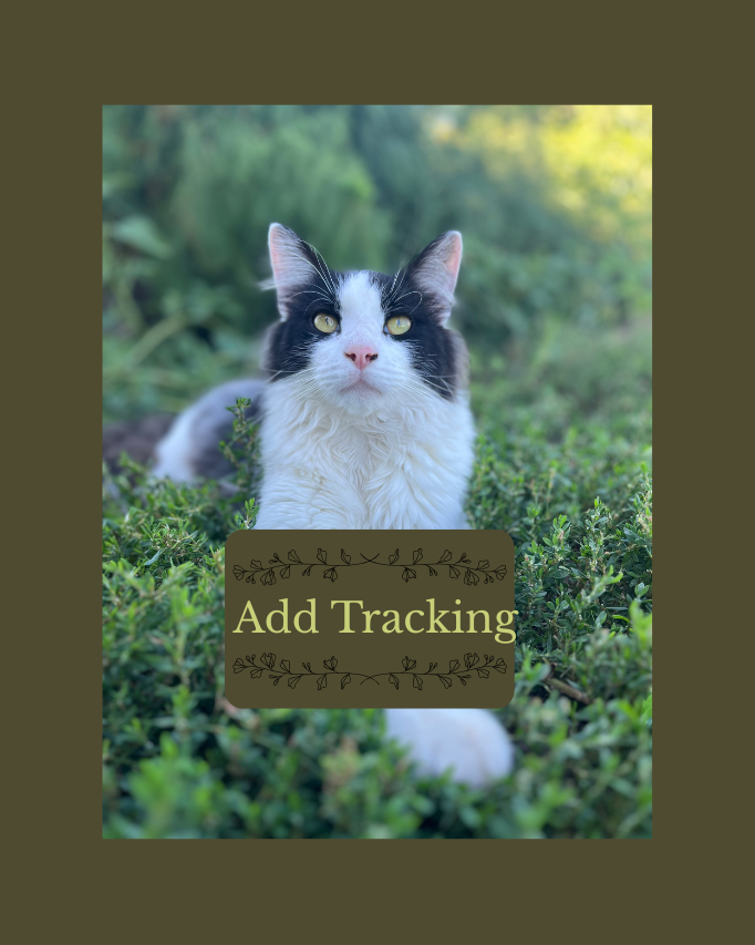 Add on Tracking