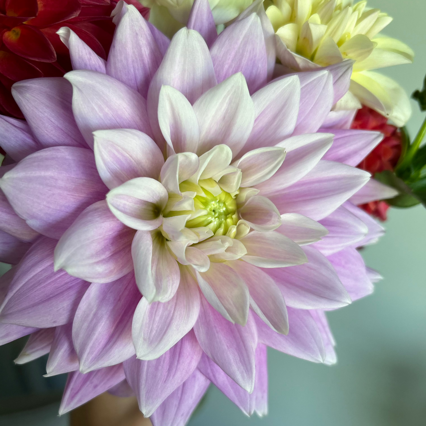 Ferncliff Inspiration