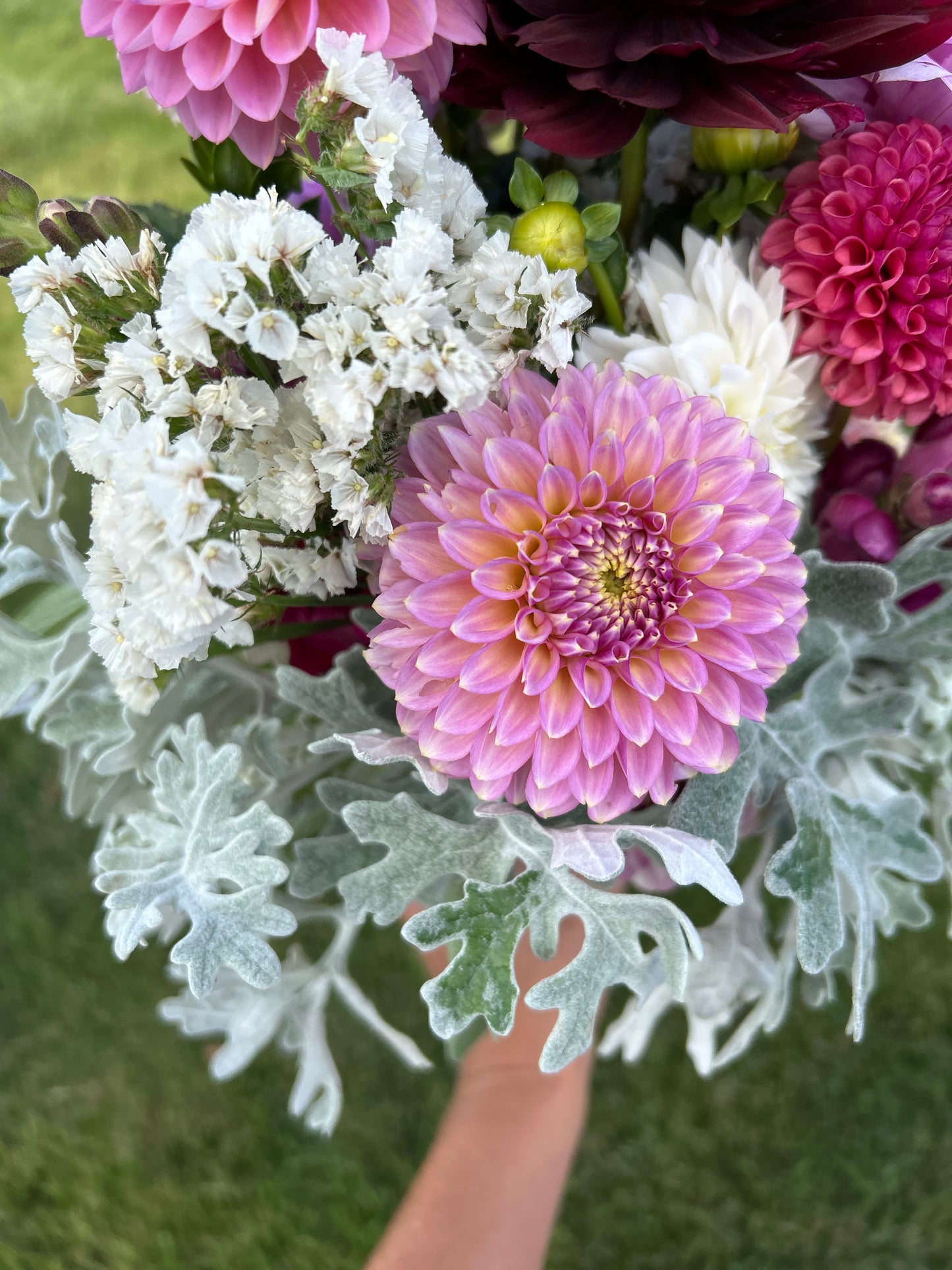 Skipley Spot of Gold