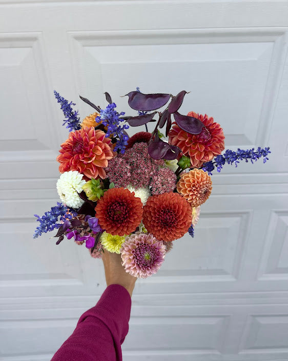 Purple Hyacinth Bean Seeds